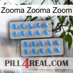 Zooma Zooma Zoom 23